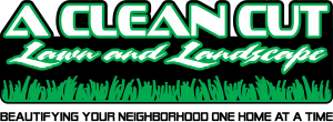 A Clean Cut Logo